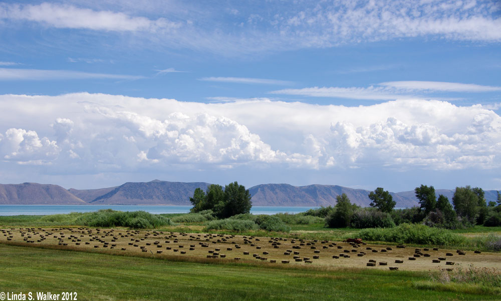 Hay field and Bear Lake, Fish Haven, Idaho