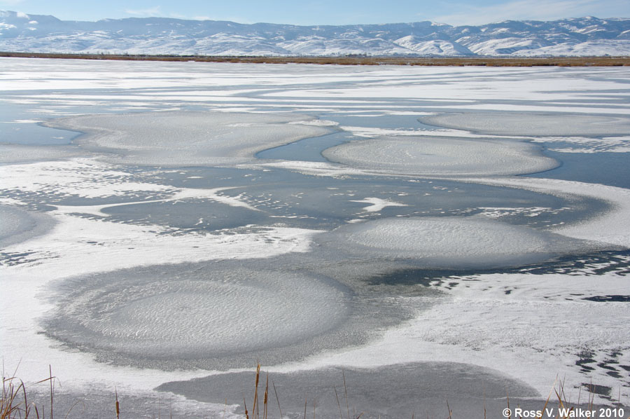 Ice Circles on Mud Lake, Bear Lake National Wildlife Refuge, Idaho.
