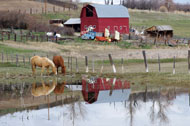 Bear Lake Valley barn photography