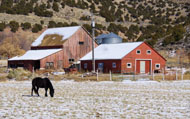 Bear Lake Valley barn photography