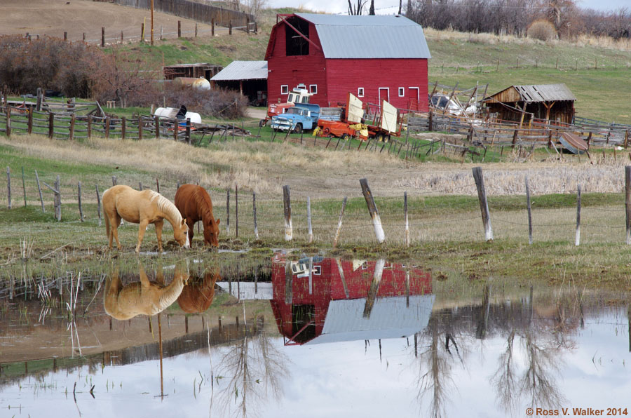 A snowmelt pond reflects a farm in Ovid, Idaho with a gambrel roof barn.