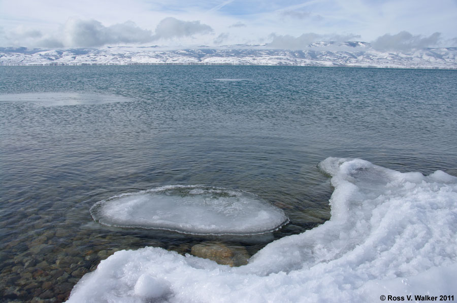 An ice pan drifts along the shore at Cisco Beach, Bear Lake, Utah.