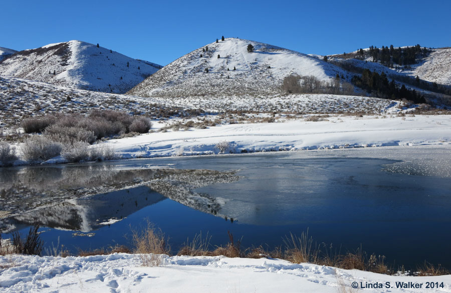 Partial reflections at the Rearing Pond in Montpelier Canyon, Idaho