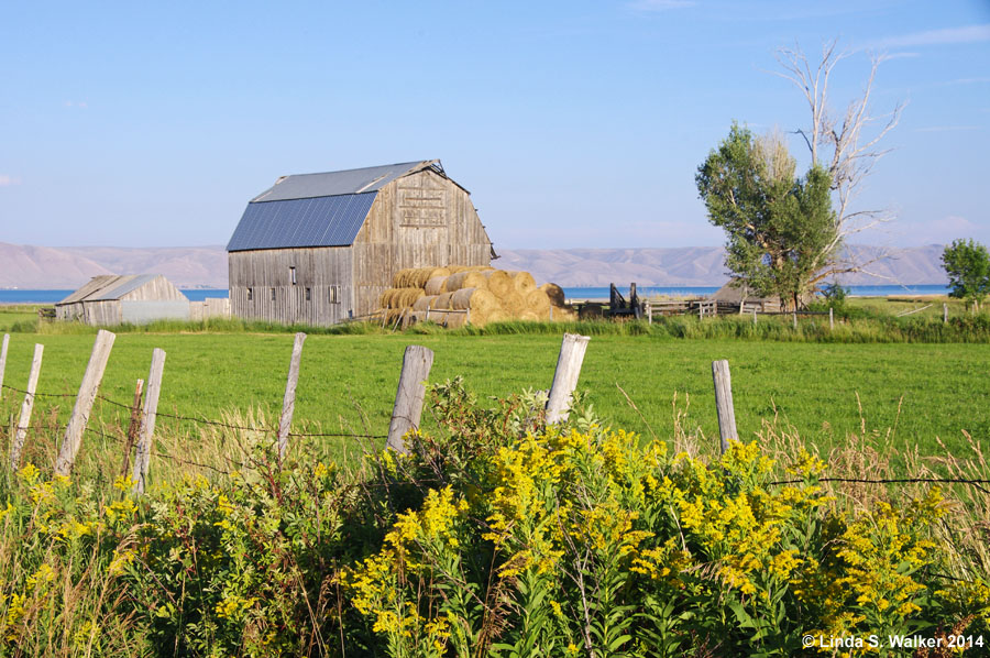 This classic gambrel roof barn on the Bear Lake shore at St Charles, Idaho