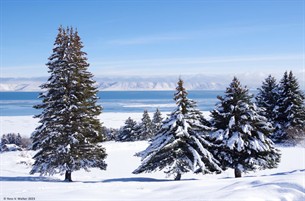 Bear Lake West in winter