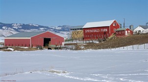 Springdale Farm, Georgetown, Idaho