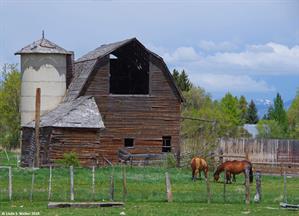 Barn and horses, St Charles, Idaho