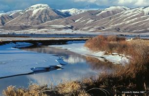 Bear River winter near Montpelier, Idaho