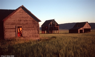 Farmouse and two barns