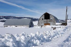 Crazy LB barn