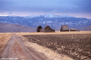 Deserted farm near Bennington, Idaho