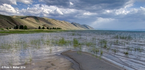 Shoreline at Bear Lake State Park, Idaho