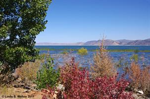 High water at Bear Lake, Utah