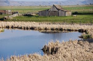 Barn and pond, Ovid, Idaho