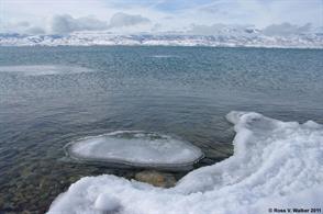 Pancake ice, Cisco Beach, Bear Lake, Utah