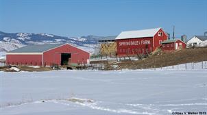 Springdale Farm, Georgetown, Idaho