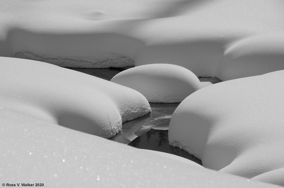 Snow mounds in a beaver pond, Salt Creek, Wyoming