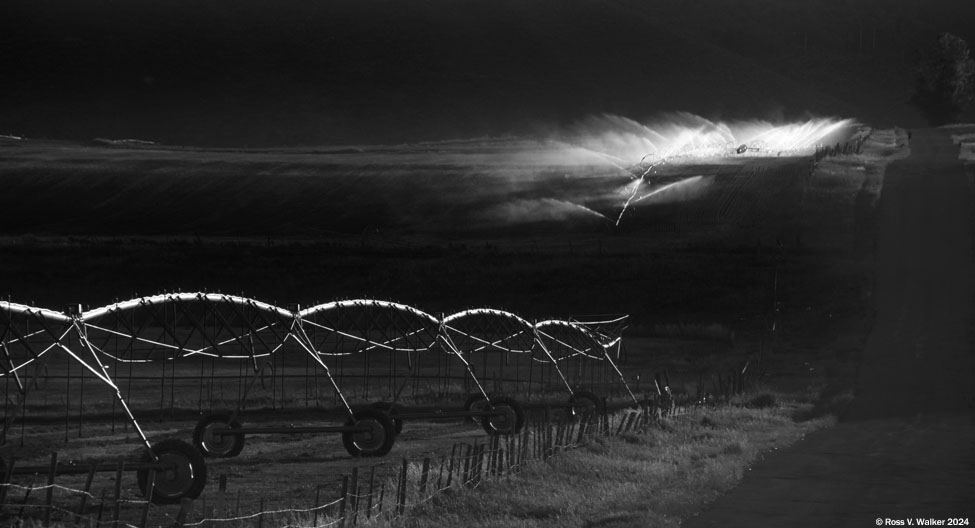 Irrigation sytems glow in late light, Georgetown, Idaho.
