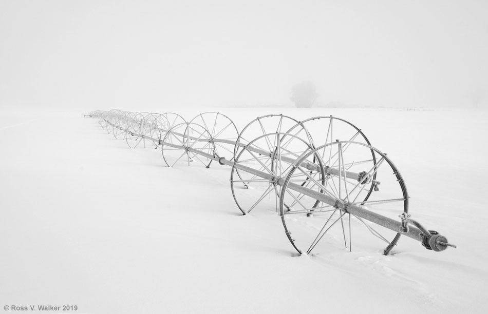 Irrigation lines in fog, Montpelier, Idaho