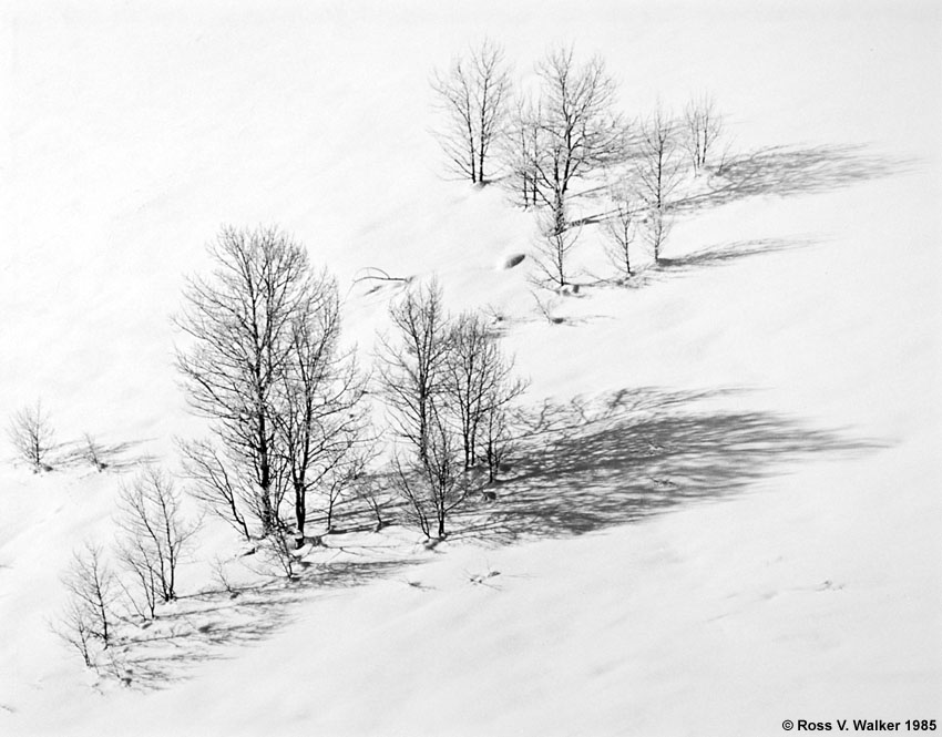 Snow Drift Shadows, Montpelier Canyon, Idaho