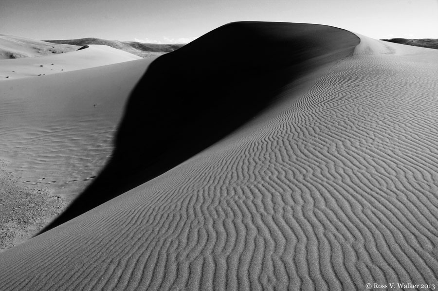 Sand Dunes at Bruneau Dunes State Park, Idaho