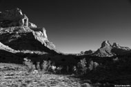 Digital black and white photography