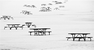 Picnic tables