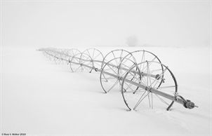 Irrigation line in snow