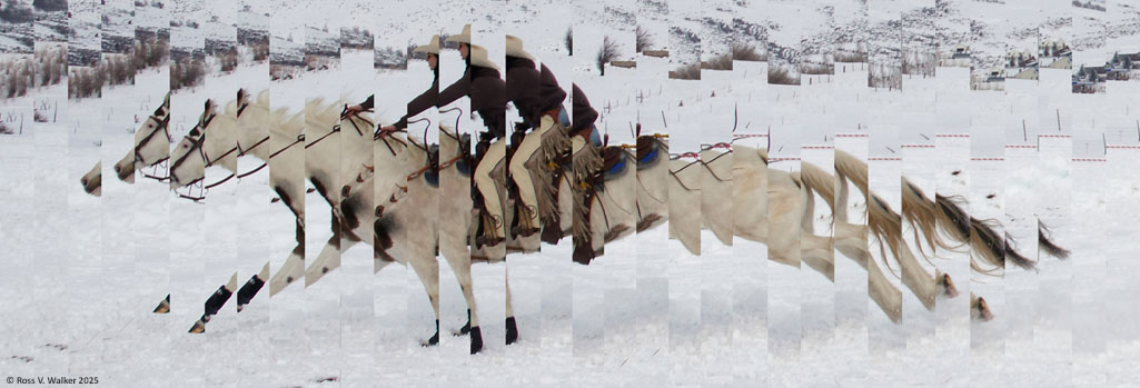 Digitally manipulated horse and rider