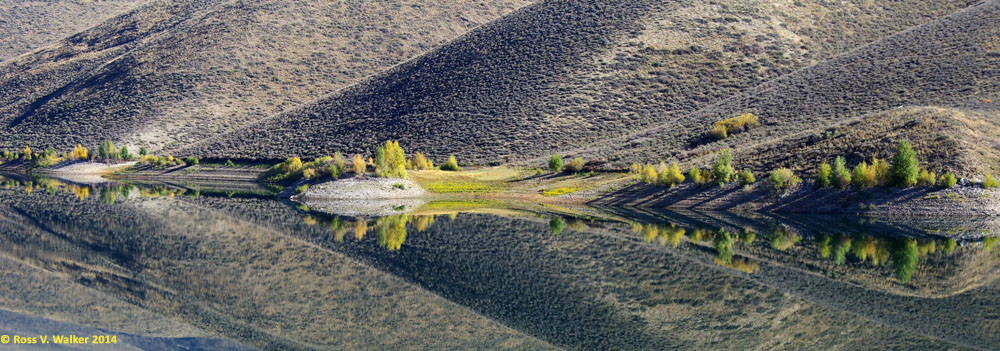 Reflected trees scattered along the shoreline of Montpelier Reservoir, Idaho