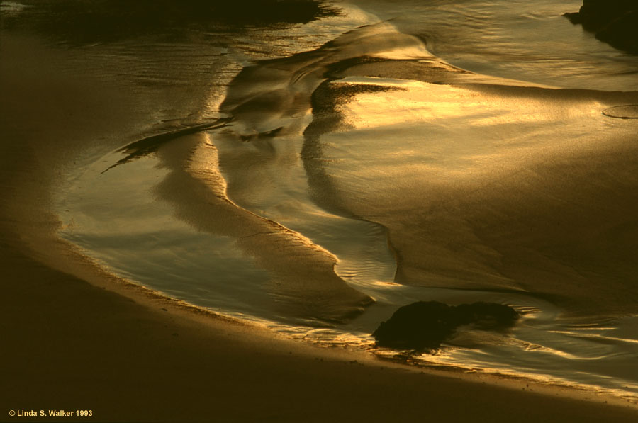 Golden sand, Asilomar Beach, California
