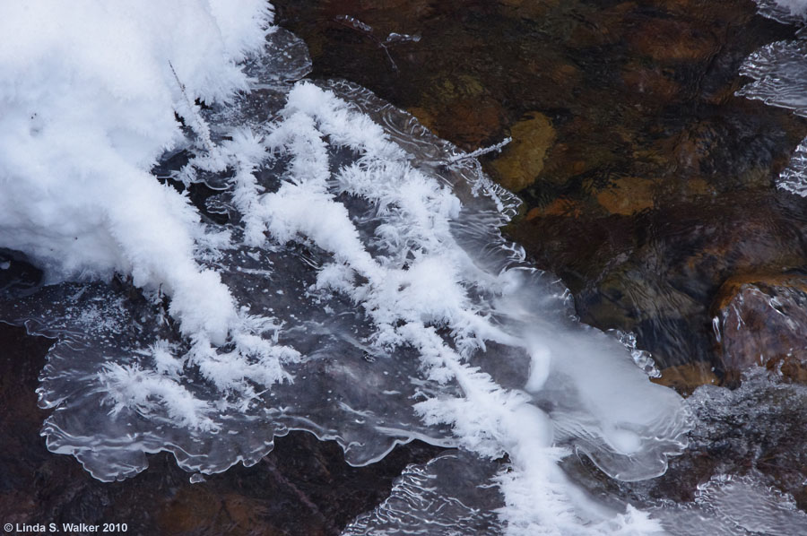 Frosted ice on the surface of Dry Fork, Wyoming