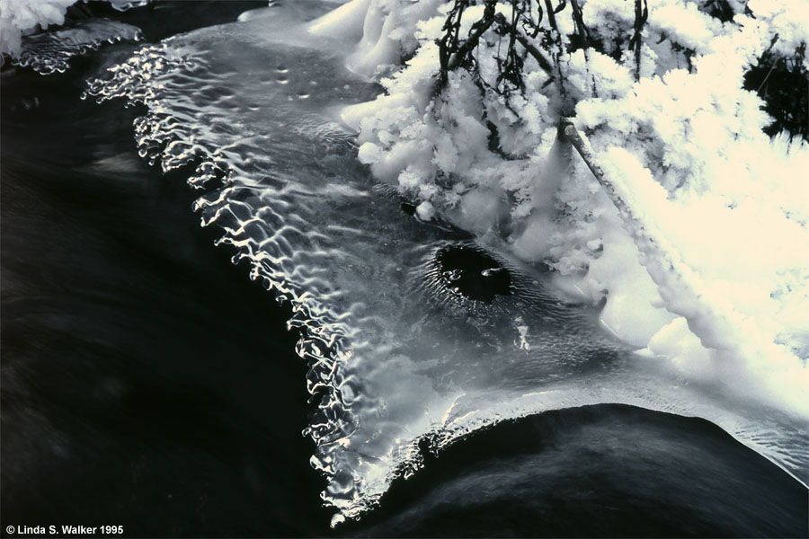 Eye in the ice, Pine Creek, Wyoming