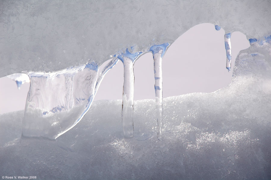 Ice window, Rainbow Cove, Bear Lake, Utah