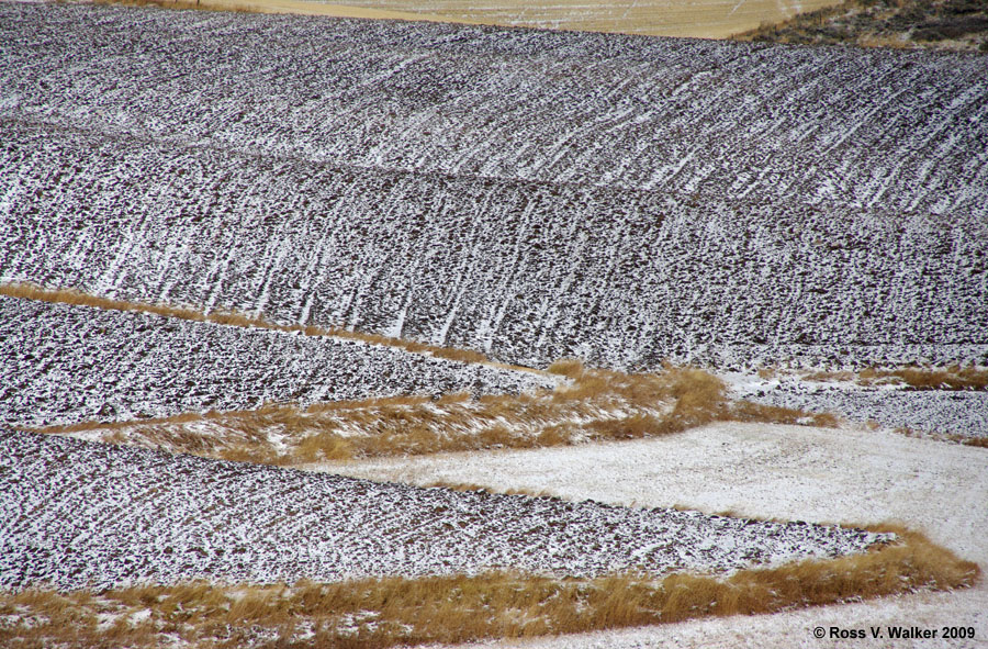 Plowed field patterns in light snow, Lanark, Idaho