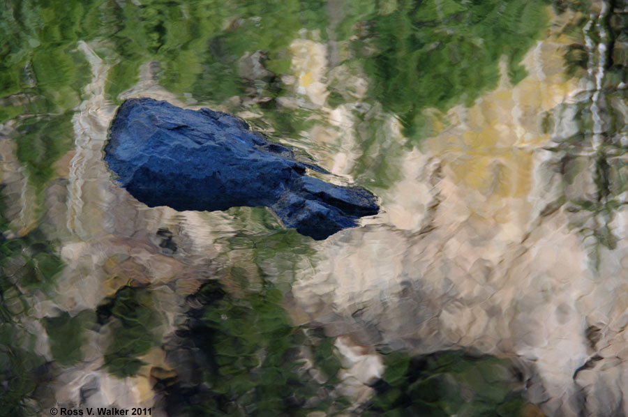 A black rock reflects the blue sky at Lizard Lake, Colorado