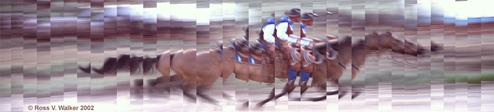 Gallop - a horse and rider at Banks Valley, Idaho