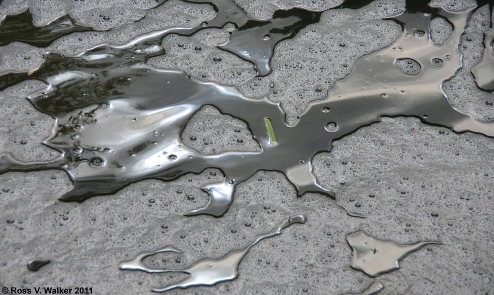 Reflections and bubbles on the surface of Montpelier, Creek, Idaho