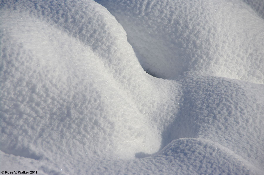Sensuous snow curves, North Beach at Bear Lake State Park, Idaho