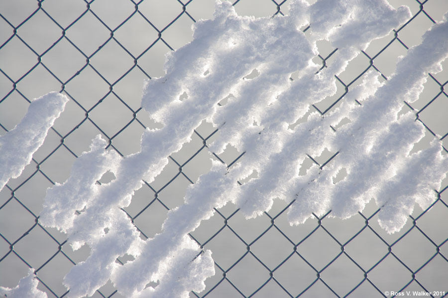 Snow sticking to a chain link fence at North Beach, Bear Lake, Idaho