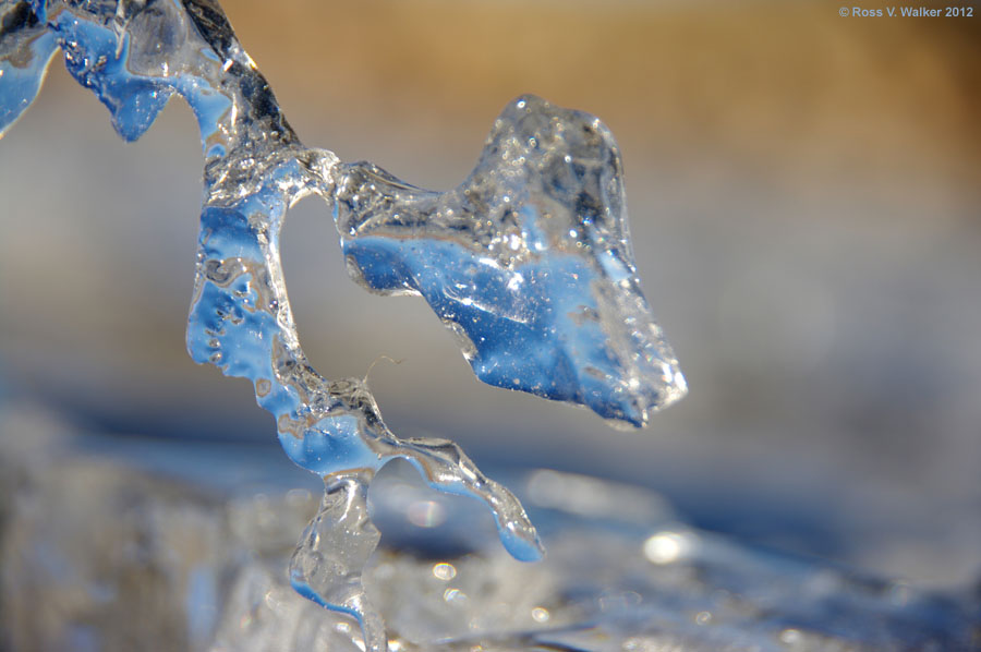 A tiny ice formation on the north shore of Bear Lake, Idaho