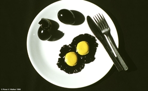 Black egg