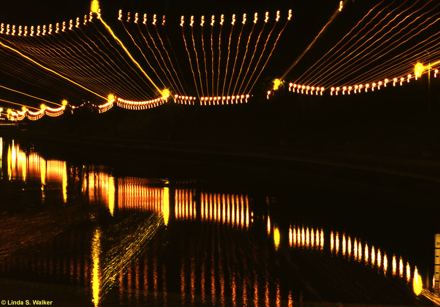 Zoom Reflection, Lake Merritt, Oakland, California