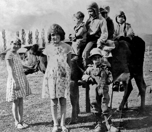 Wright children on a cow, Bennington, Idaho