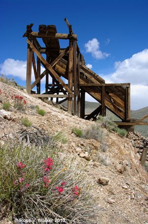Cashier Mill, Death Valley, California