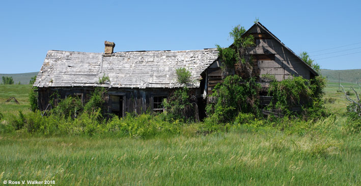 Overgrown houses, Chesterfield, Idaho