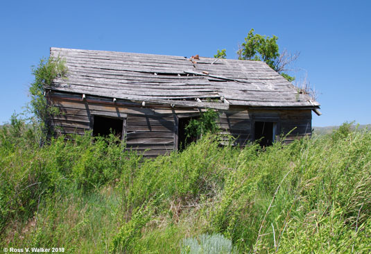 Overgrown houses, Chesterfield, Idaho