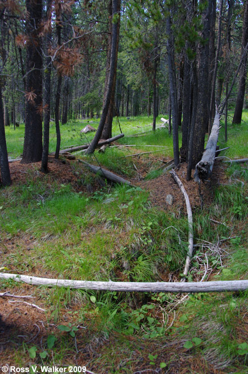 Exhumed Chinese graves at Leesburg, Idaho cemetery