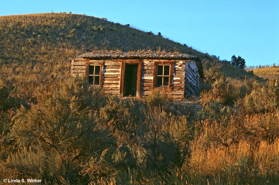 An old log cabin blends into a hillside, Bannack, Montana