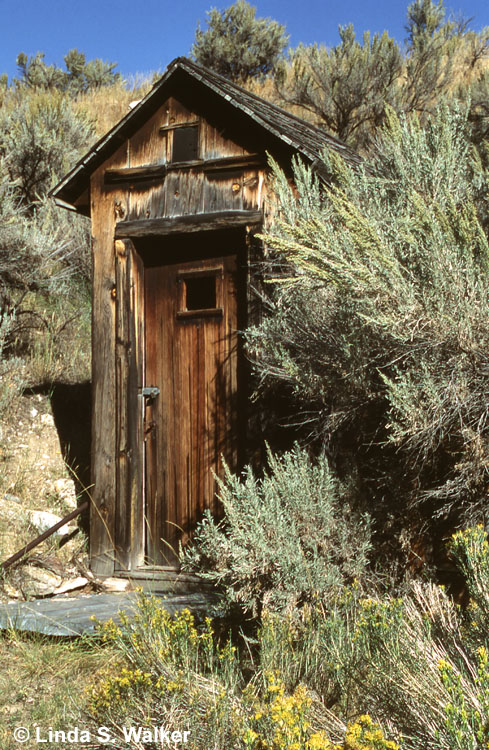 One-holer in tall sagebrush, Bannack, Montana